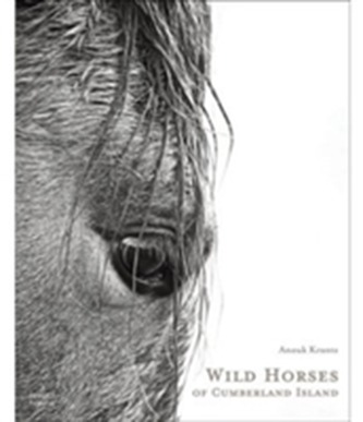 Wild Horses of Cumberland Island