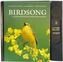 Birdsong