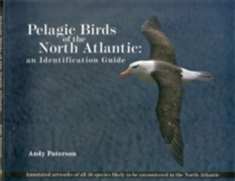 Pelagic Birds Of The North Atlantic