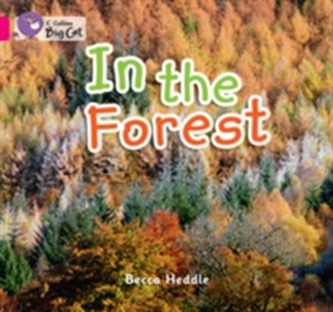In the Forest