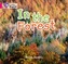 In the Forest