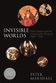 Invisible Worlds