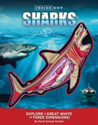 Inside Out Sharks