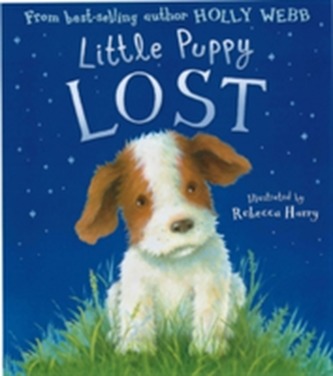 Little Puppy Lost