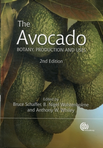Avocado