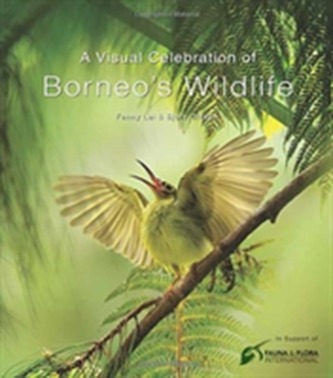 A Visual Celebration of Borneo's Wildlife