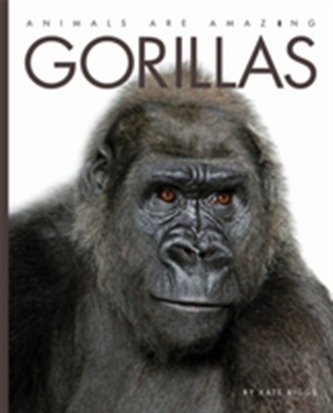 Animals Are Amazing: Gorillas