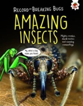 Amazing Insects - Record-Breaking Bugs