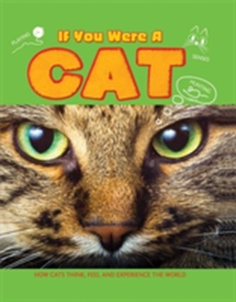 If You Were a Cat