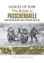 The BEF in 1917: Arras, Vimy, Messines, Passchendaele and Cambrai