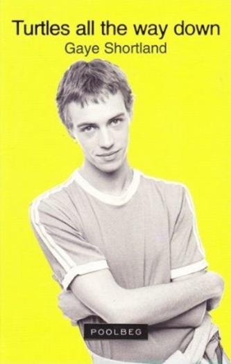 Turtles All the Way Down