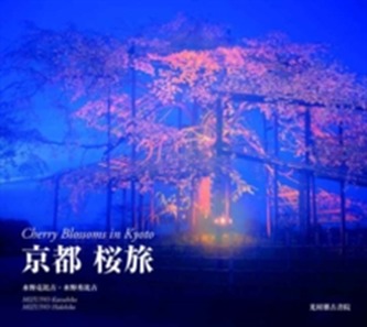 Cherry Blossoms in Kyoto