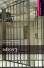 Oxford Bookworms Library Starter Escape (New Edition)