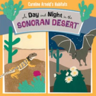 A Day and Night in the Sonoran Desert