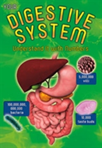 Your Digestive System