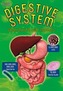 Your Digestive System