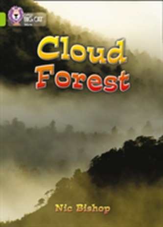 The Cloud Forest