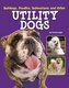 Bulldogs, Poodles, Dalmatians and Other Utility Dogs