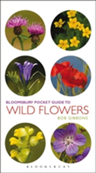 Pocket Guide To Wild Flowers