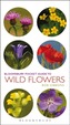 Pocket Guide To Wild Flowers