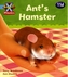 Project X Phonics Blue: 11d Ant's Hamster
