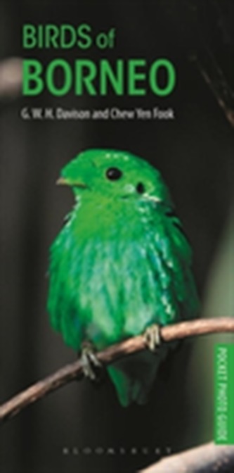 Birds of Borneo