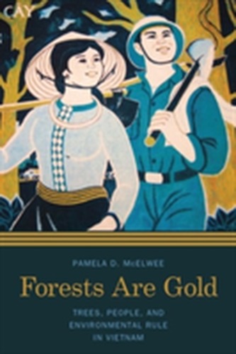 Forests Are Gold