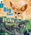 Oxford Reading Tree inFact: Level 9: Big Ears and Sticky Fingers