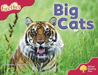 Oxford Reading Tree: Level 4: More Fireflies A: Big Cats