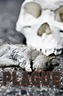 Plague (Sharp Shades 2.0)