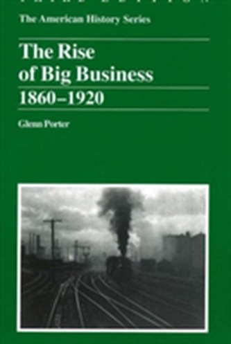 The Rise of Big Business