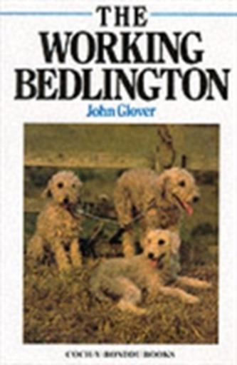 The Working Bedlington