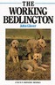 The Working Bedlington