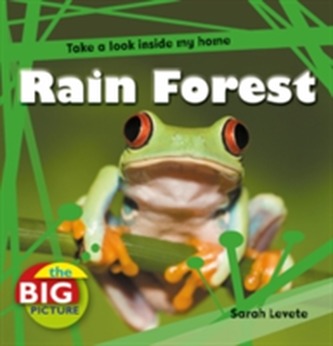 Rainforest