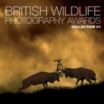 British Wildlife Photography Awards