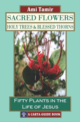 Sacred Flowers, Holy Trees, & Blessed Thorns