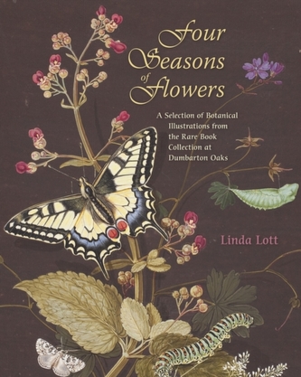 Four Seasons of Flowers - A Selection of Botanical Illustrations from the Rare Book Collection at Dumbarton Oaks
