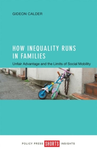 How inequality runs in families