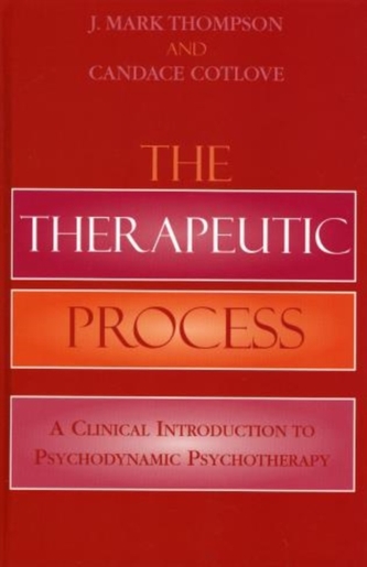 The Therapeutic Process