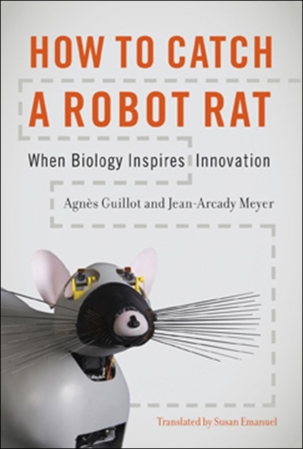 How to Catch a Robot Rat