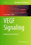 VEGF Signaling