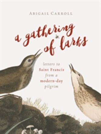 A Gathering of Larks