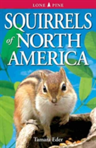 Squirrels of North America