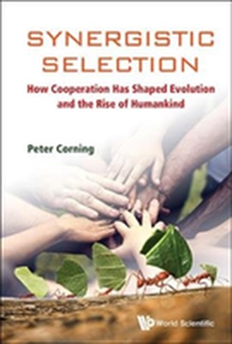 Synergistic Selection: How Cooperation Has Shaped Evolution And The Rise Of Humankind
