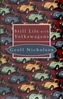 Still Life with Volkswagens