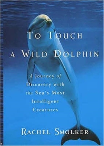 To Touch a Wild Dolphin