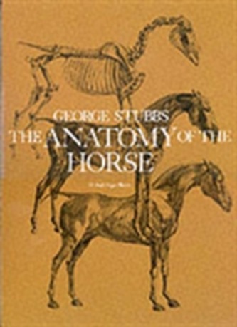 The Anatomy of the Horse