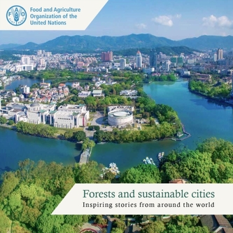 Forests and sustainable cities