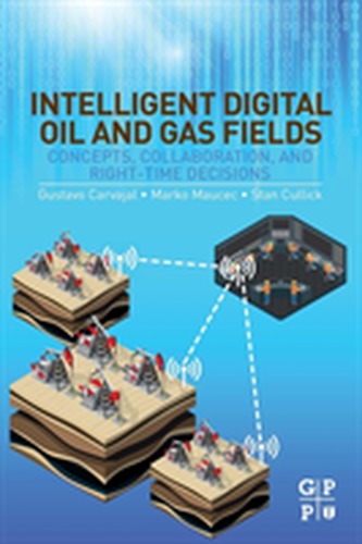 Intelligent Digital Oil and Gas Fields