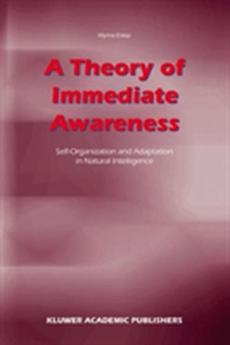 A Theory of Immediate Awareness